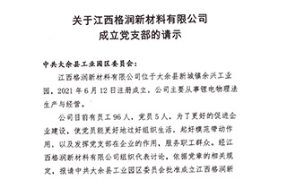 關(guān)于江西格潤新材料有限公司成立黨支部的請示
